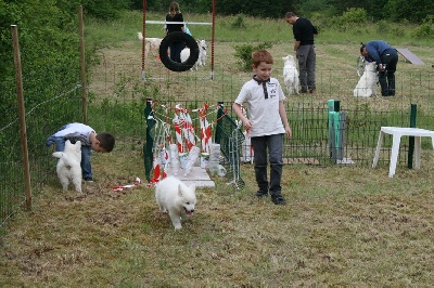 de l'ange Gardien de Faujus - Notre école du chiot ouverte pendant les vacances !!!