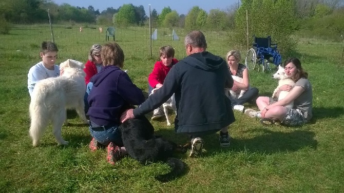 de l'ange Gardien de Faujus - Centre Canin du DAG Services