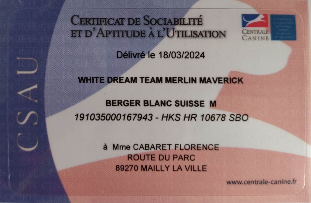 de l'ange Gardien de Faujus - Validation CSAU pour White Dream Team merlin Maverick 