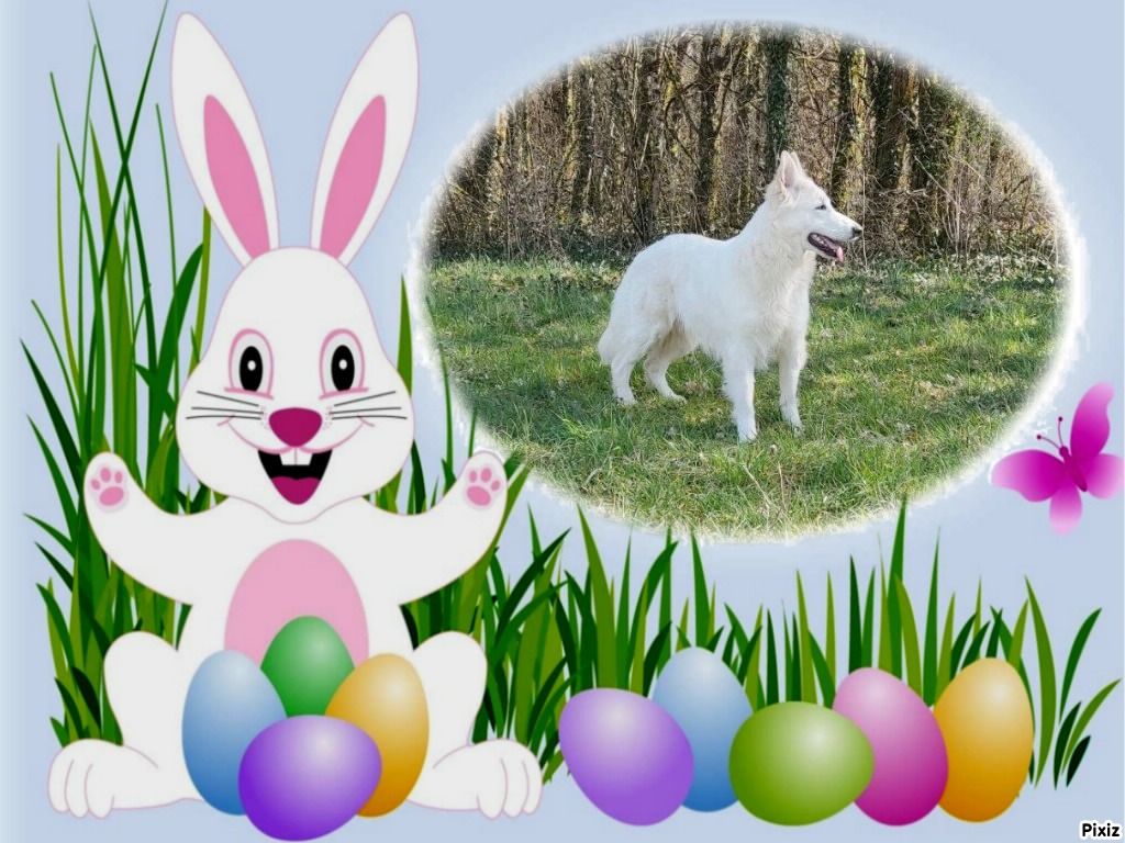 de l'ange Gardien de Faujus - Happy Easter!!