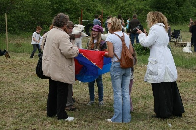 de l'ange Gardien de Faujus - Ecole du chiot du DAG Services en bourgogne