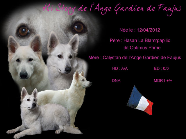 Hi story de l'ange Gardien de Faujus