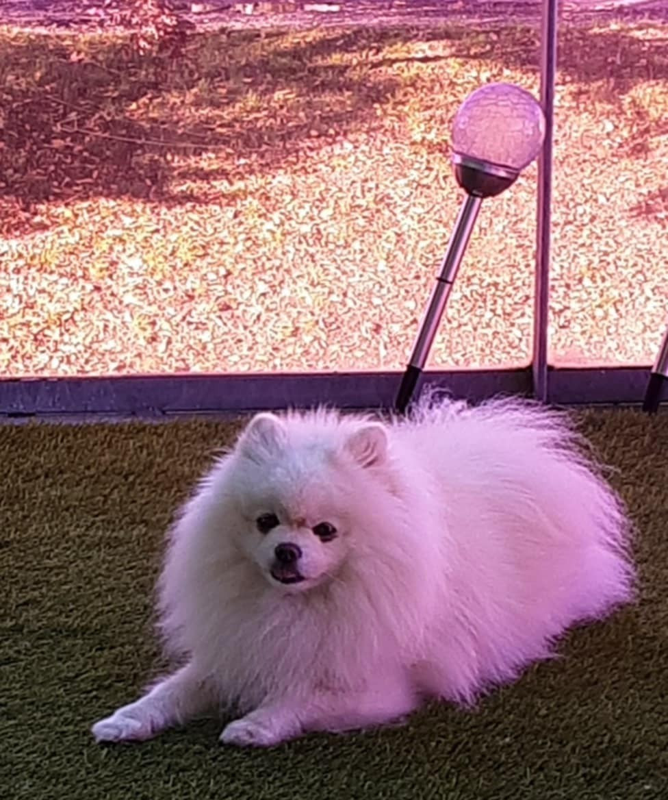 Prosper du Jardin des Lutins