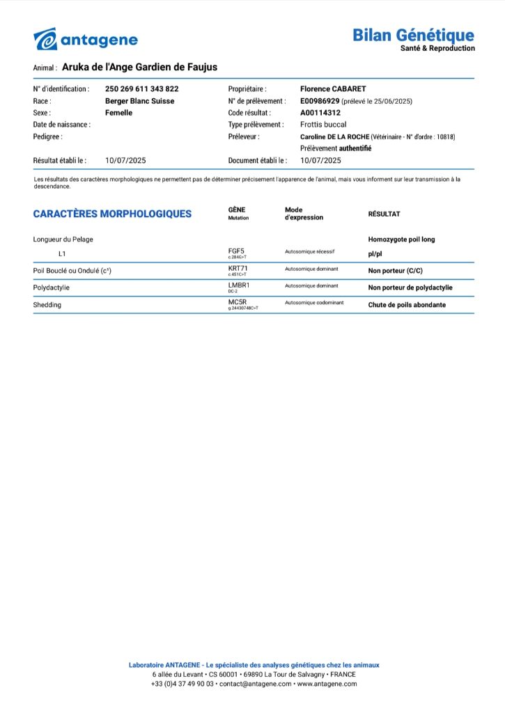 Suite des résultats génétiques 