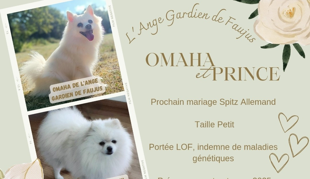 Omaha de l'Ange Gardien de Faujus est en chaleur!!!