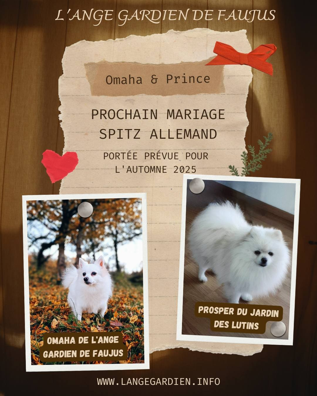 Naissance prévue pour mi janvier 2026