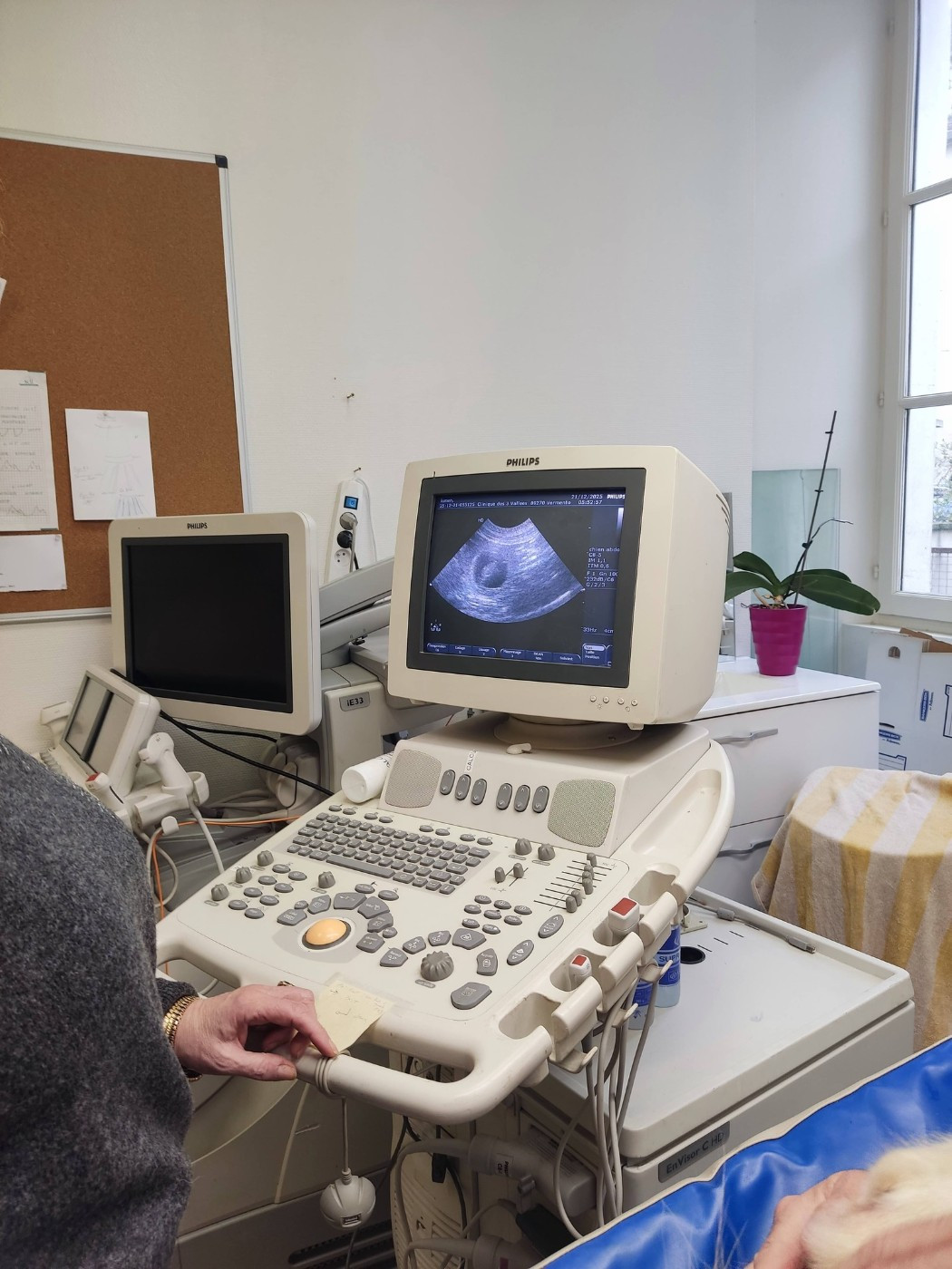 Naissance prévue pour mi janvier 2026