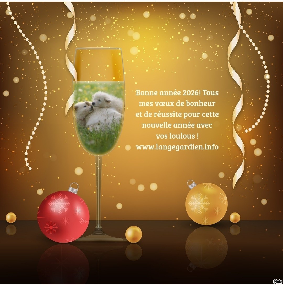 Bonne année 2026