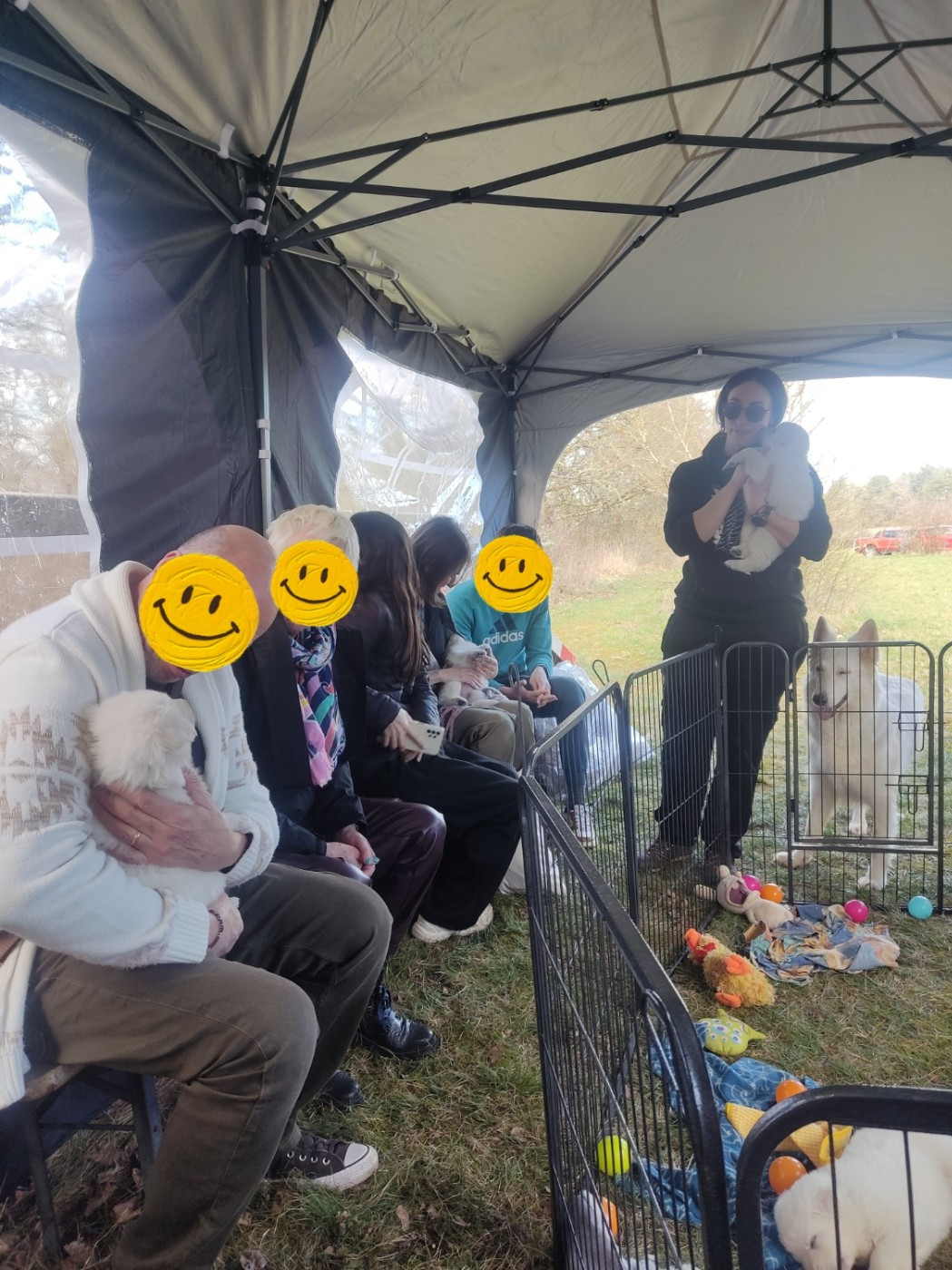 Séance pré socialisation des bébés à 5 semaines