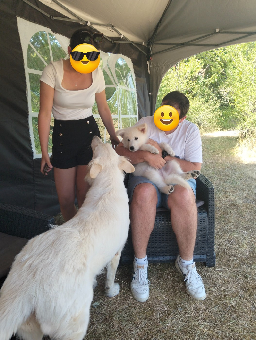 Départ Baloo