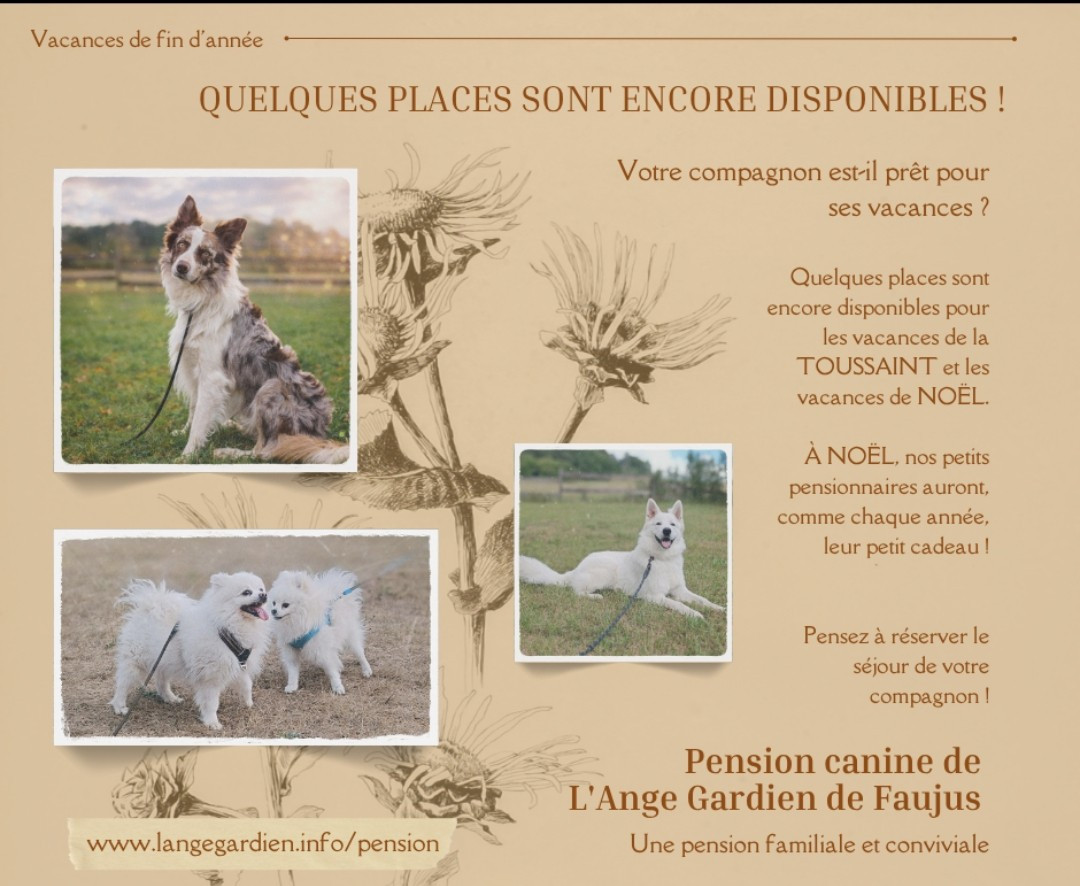 de l'ange Gardien de Faujus - Pension du Domaine de l'Ange Gardien