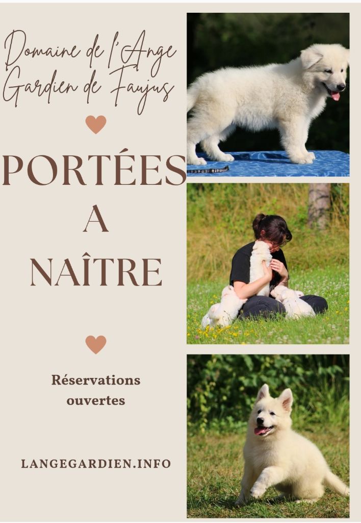 de l'ange Gardien de Faujus - prochains mariages pour 2026