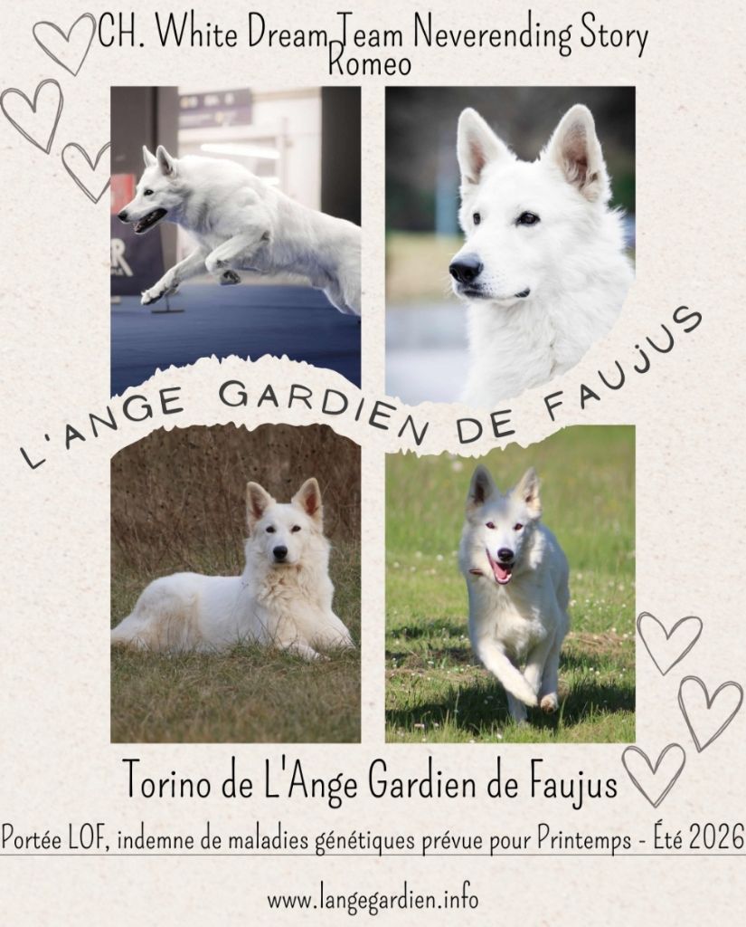 de l'ange Gardien de Faujus - Mariage printemps 2026