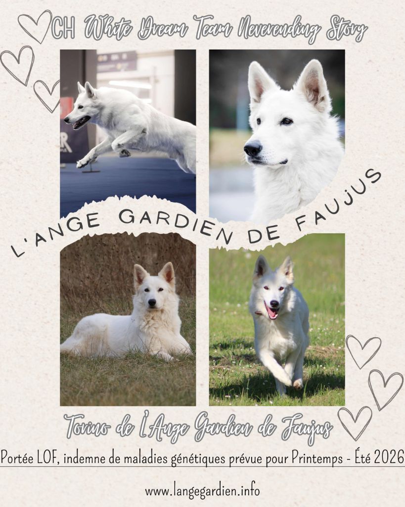 de l'ange Gardien de Faujus - Mariage printemps 2026