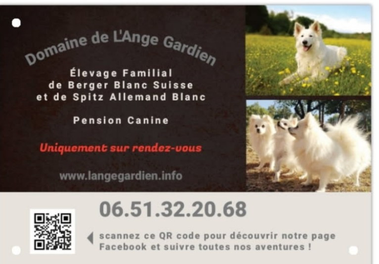 Plan - de l'ange Gardien de Faujus de l'ange Gardien de Faujus